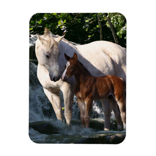 Fantasy Horses: Waterval Magneet (Verticaal)