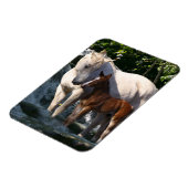 Fantasy Horses: Waterval Magneet (Linkerzijde)