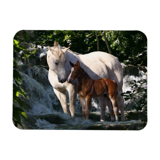 Fantasy Horses: Waterval Magneet (Horizontaal)