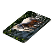 Fantasy Horses: Waterval Magneet (Linkerzijde)