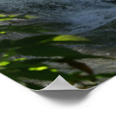 Fantasy Horses: Waterval Poster (Hoek)