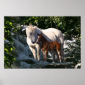Fantasy Horses: Waterval Poster (Voorkant)