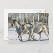 Fantasy Horses: Winter Wonderland Briefkaart (Voorkant / Achterkant)