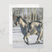 Fantasy Horses: Winter Wonderland Briefkaart (Voorkant / Achterkant)