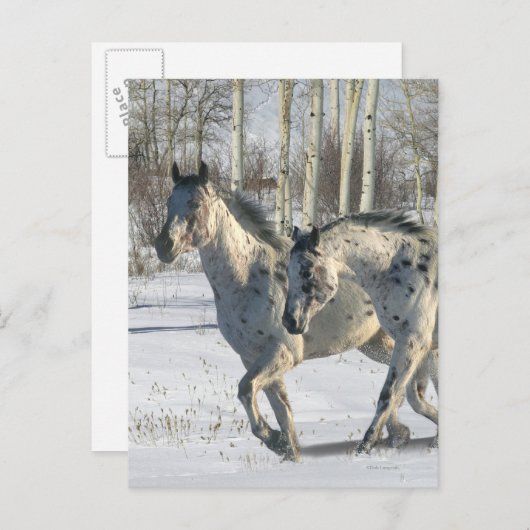 Fantasy Horses: Winter Wonderland Briefkaart (Voorkant / Achterkant)