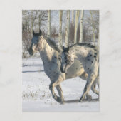Fantasy Horses: Winter Wonderland Briefkaart (Voorkant)