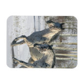 Fantasy Horses: Winter Wonderland Magneet (Horizontaal)