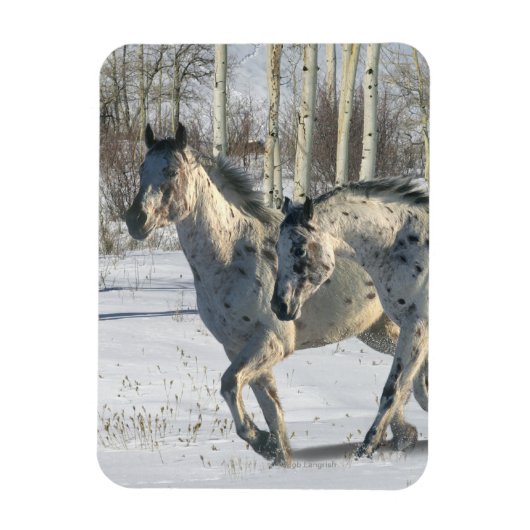 Fantasy Horses: Winter Wonderland Magneet (Verticaal)