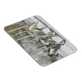 Fantasy Horses: Winter Wonderland Magneet (Rechterzijde)