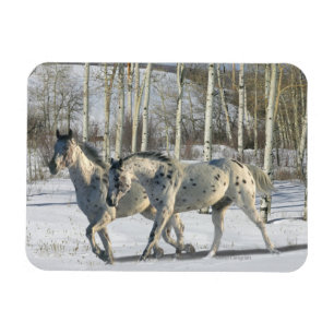 Fantasy Horses: Winter Wonderland Magneet