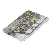 Fantasy Horses: Winter Wonderland Magneet (Linkerzijde)