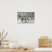 Fantasy Horses: Winter Wonderland Poster (Keuken)