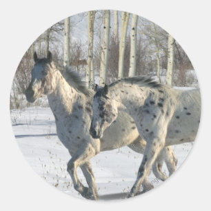 Fantasy Horses: Winter Wonderland Ronde Sticker