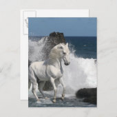 Fantasy Horses: Zuidelijke Zeeen Briefkaart (Voorkant / Achterkant)