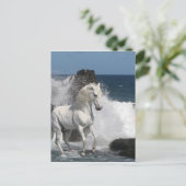 Fantasy Horses: Zuidelijke Zeeen Briefkaart (Staand voorkant)