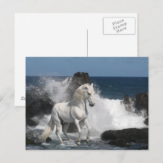 Fantasy Horses: Zuidelijke Zeeen Briefkaart (Voorkant / Achterkant)