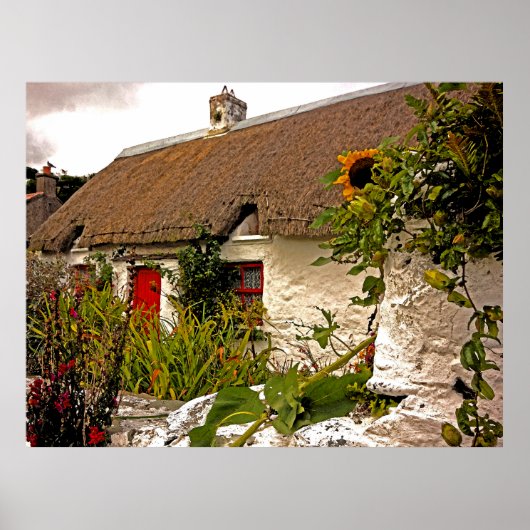 Fantasy Irish cottage Poster (Voorkant)