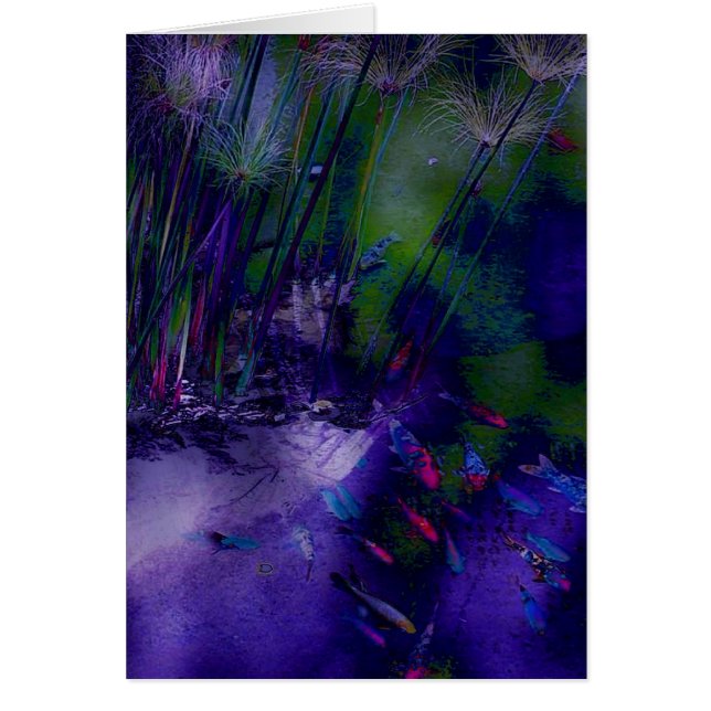 Fantasy Koi Pond Kaart (Voorkant)