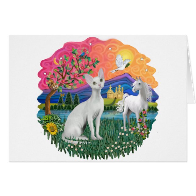 Fantasy Land (ff) - Devonshire Rex cat (Voorkant Horizontaal)