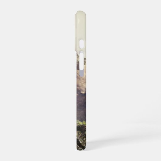 Fantasy landscape iPhone 16 hoesje (Linkerkant)