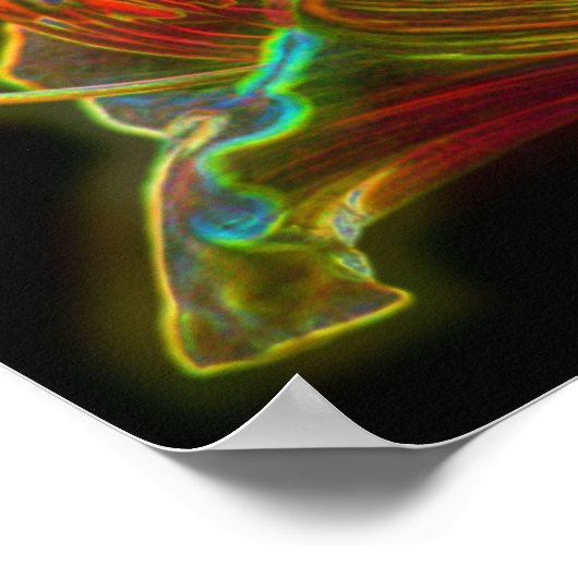 Fantasy Lily Abstract Flower Art Poster (Hoek)