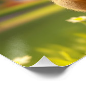 Fantasy Mouse Basketball Field Perfect Poster (Hoek)