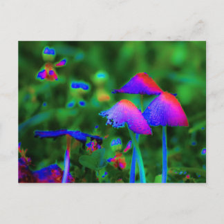Fantasy Mushrooms Briefkaart