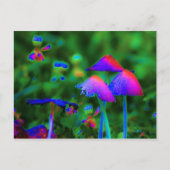 Fantasy Mushrooms Briefkaart (Voorkant)