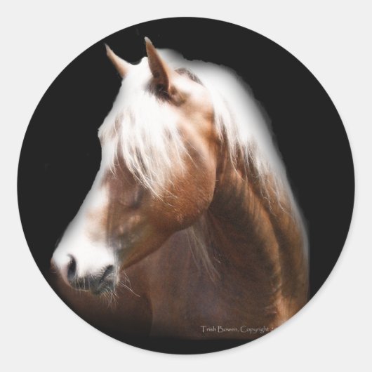 Fantasy Paard in Zwart Ronde Sticker (Voorkant)