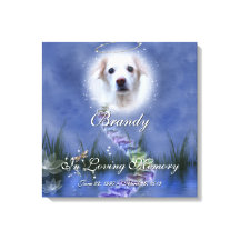 Fantasy Pond Voeg uw huisdier Foto Memorial