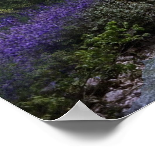 Fantasy Poster (Hoek)