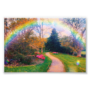Fantasy Rainbow Garden Foto Afdruk