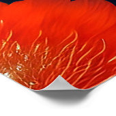 Fantasy Rode Fee Rode Bloemen Poster (Hoek)