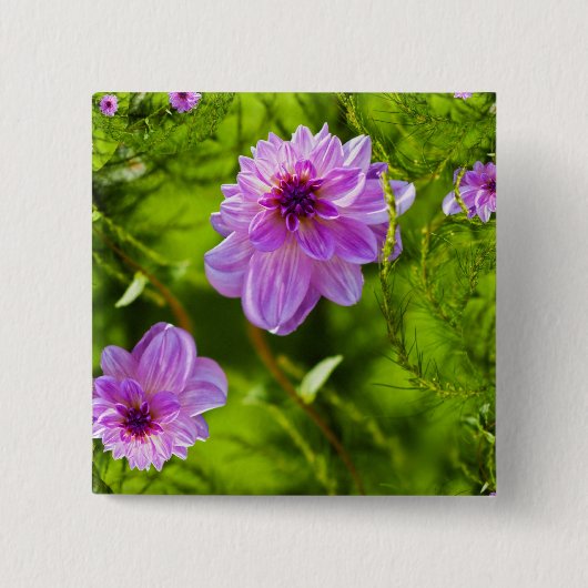 Fantasy Roze Dahlia Vierkante Button 5,1 Cm (Voorkant)