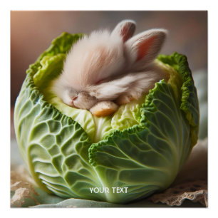 Fantasy Schattige Baby Bunny Cabbage Perfect Poster