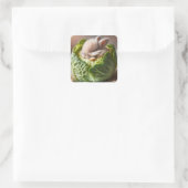 Fantasy Schattige Baby Bunny Cabbage Vierkante Sticker (Tas)