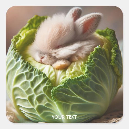 Fantasy Schattige Baby Bunny Cabbage Vierkante Sticker (Voorkant)