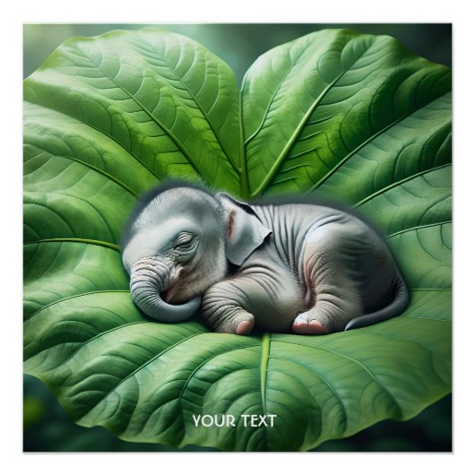 Fantasy Schattige Baby Elephant Leaf Perfect Poster (Voorkant)