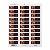 Fantasy Schattige Fair Oude Tovenaar Etiket (Full Sheet)