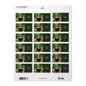 Fantasy Schattige Frog Glasses Boek Etiket (Full Sheet)