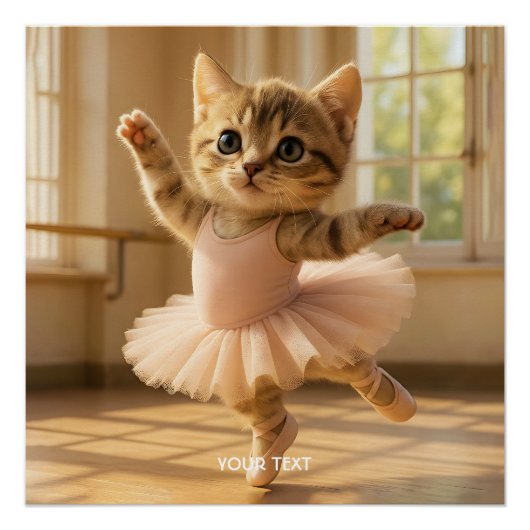 Fantasy Schattige Kitten Kleine Ballerina Perfect Poster (Voorkant)