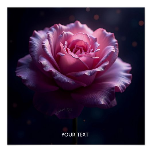 Fantasy Schattige mooie roze roos Perfect Poster (Voorkant)
