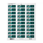 Fantasy Schattige Octopus zeilschip Etiket (Full Sheet)