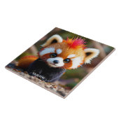 Fantasy Schattige Panda Red Hai Tegeltje (Zijkant)