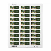 Fantasy Schattige Pen Lake Swan Etiket (Full Sheet)