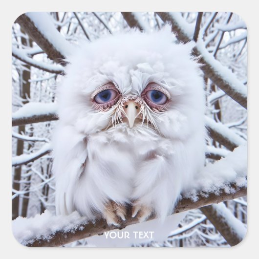 Fantasy Schattige Sad Owl Winter Vierkante Sticker (Voorkant)