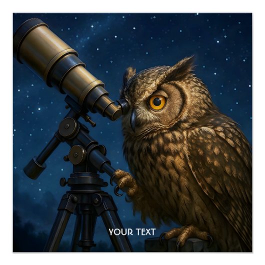 Fantasy Schattige Uil Telescope Night Perfect Poster (Voorkant)