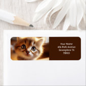 Fantasy Schattigee close-up kleine kitten Etiket (Insitu)