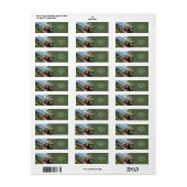 Fantasy Schattigee Crimson Antiek Train Etiket (Full Sheet)