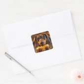 Fantasy Schattigee hond Hot Dog Vierkante Sticker (Envelop)